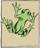 Froggie