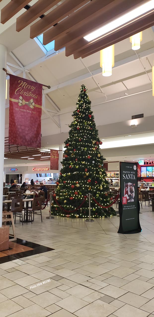 The Christmas tree at the Chesterfield Mall November 2024 The Christmas tree at the Chesterfield Mall November 2024