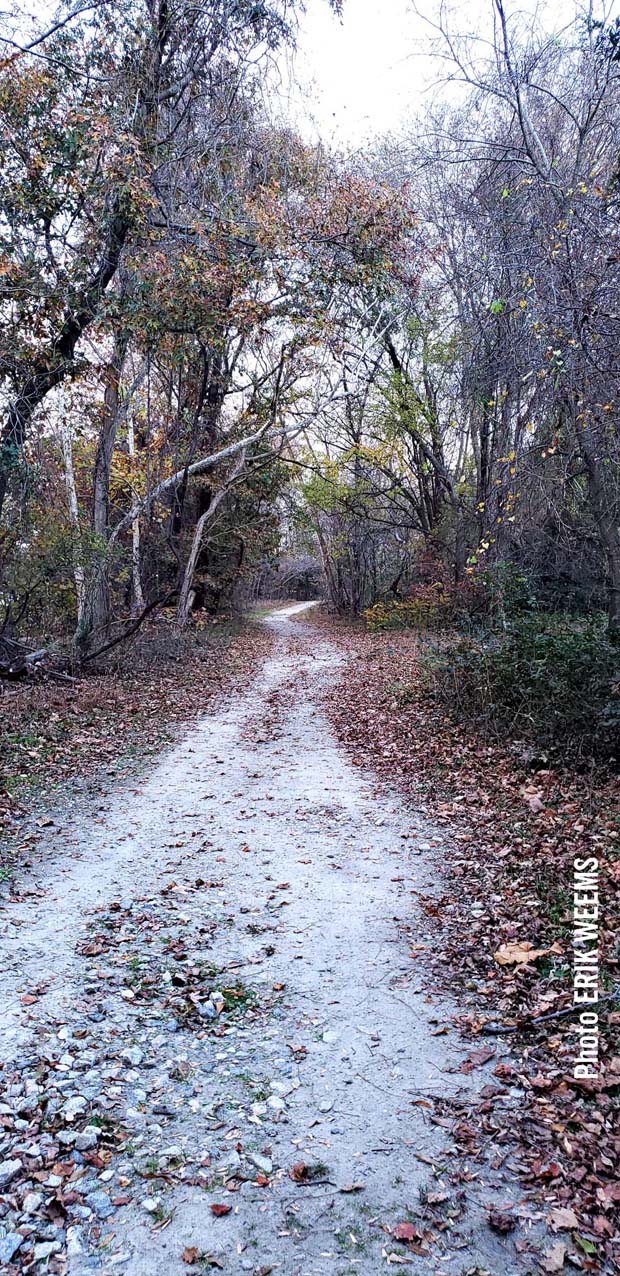Autumn Road at Dutch Gap