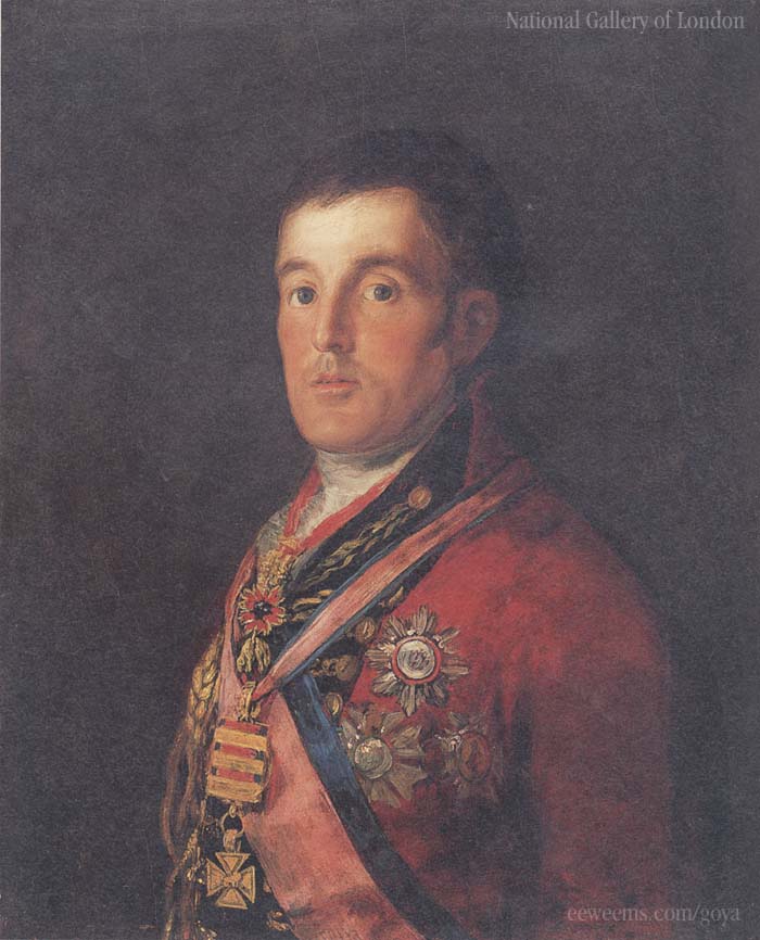 Goya Wellington