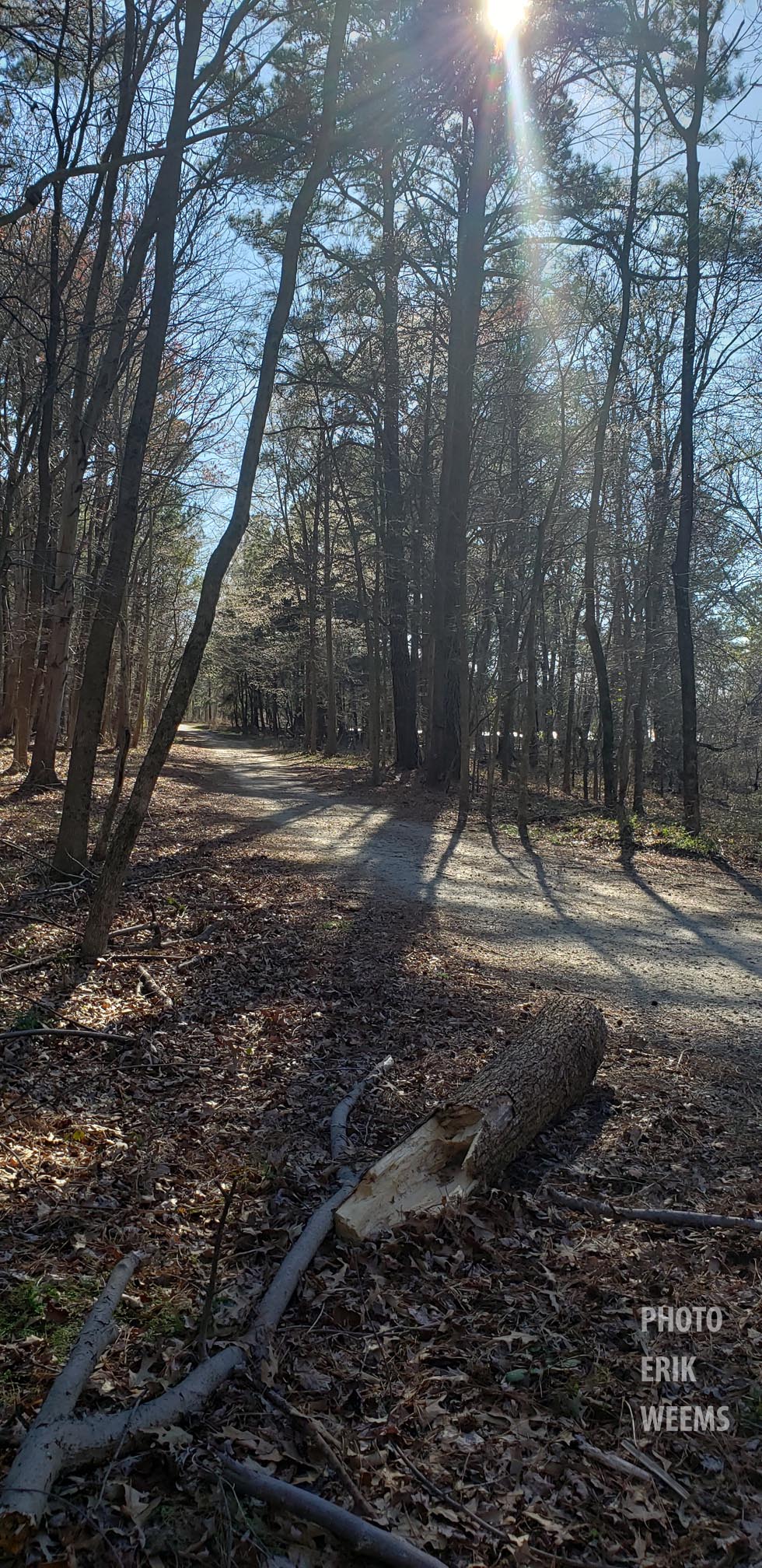 Tree Path Chesterfield