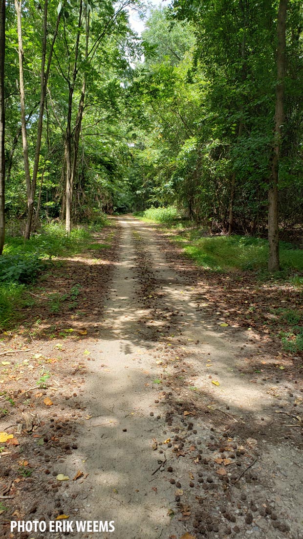 Dirt Road in Chesterfield Virginia