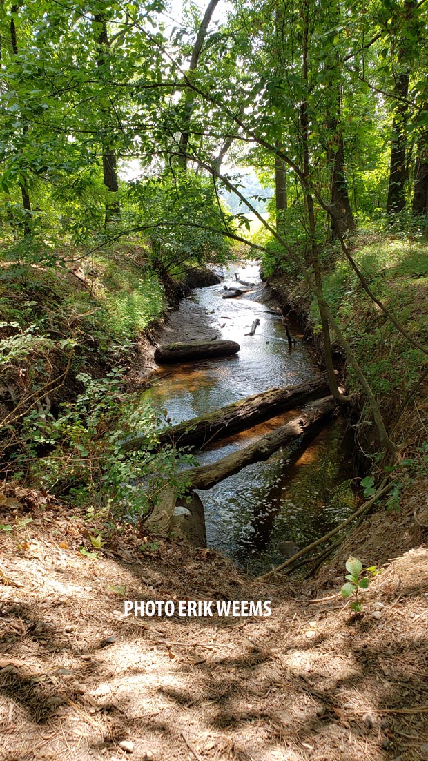 Drainage Creek Bed