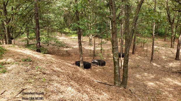 Old Tires in the Woods - Chesterfield