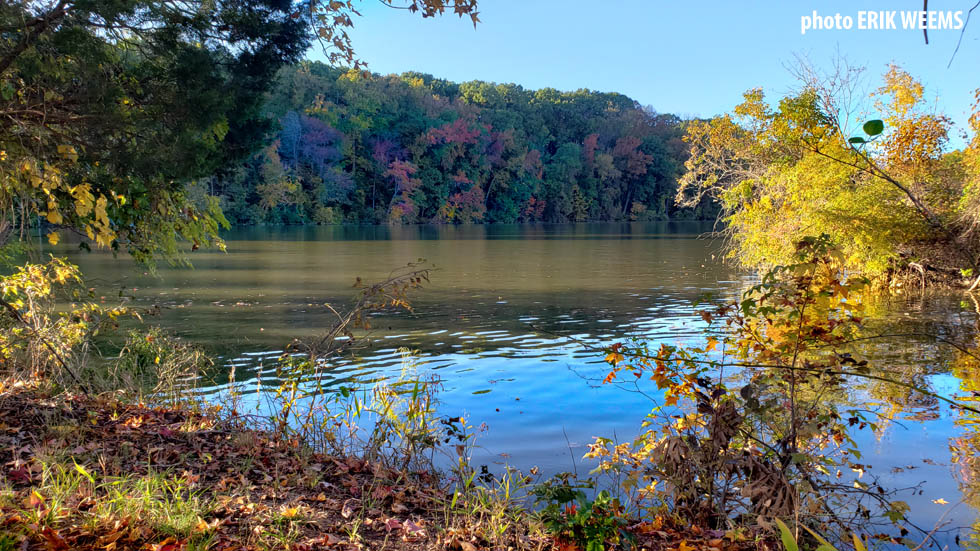 Colors of Autumn at Dutch Gap lagoon