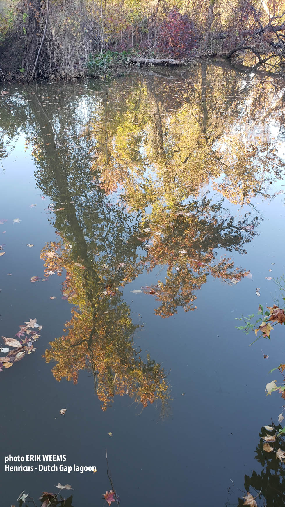 Dutch Gap Lagoon