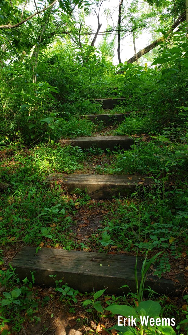 Lagoon area, Henricus, Forest Steps Lagoon area, Henricus, Forest Steps