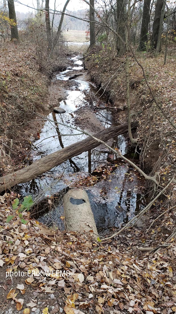 Stream in Chesterfield