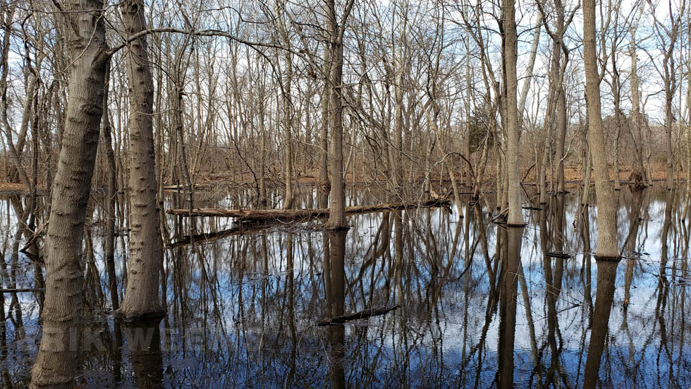 Swampland Chesterfield County