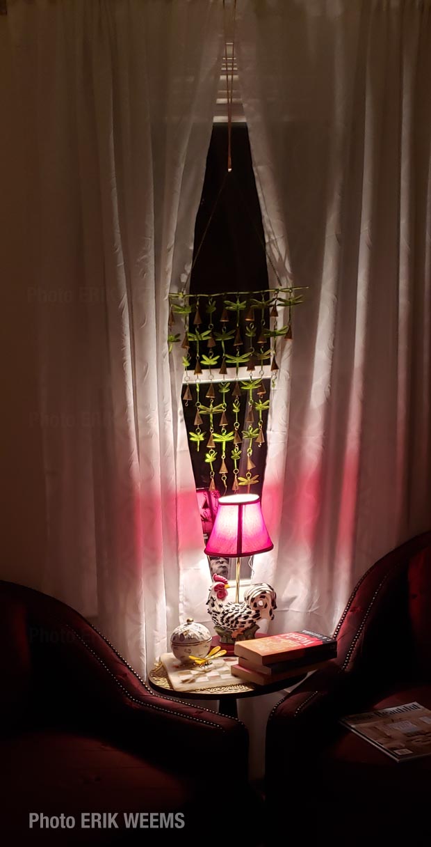 A dragonfly room in Chesterfield Virginia A dragonfly room in Chesterfield Virginia