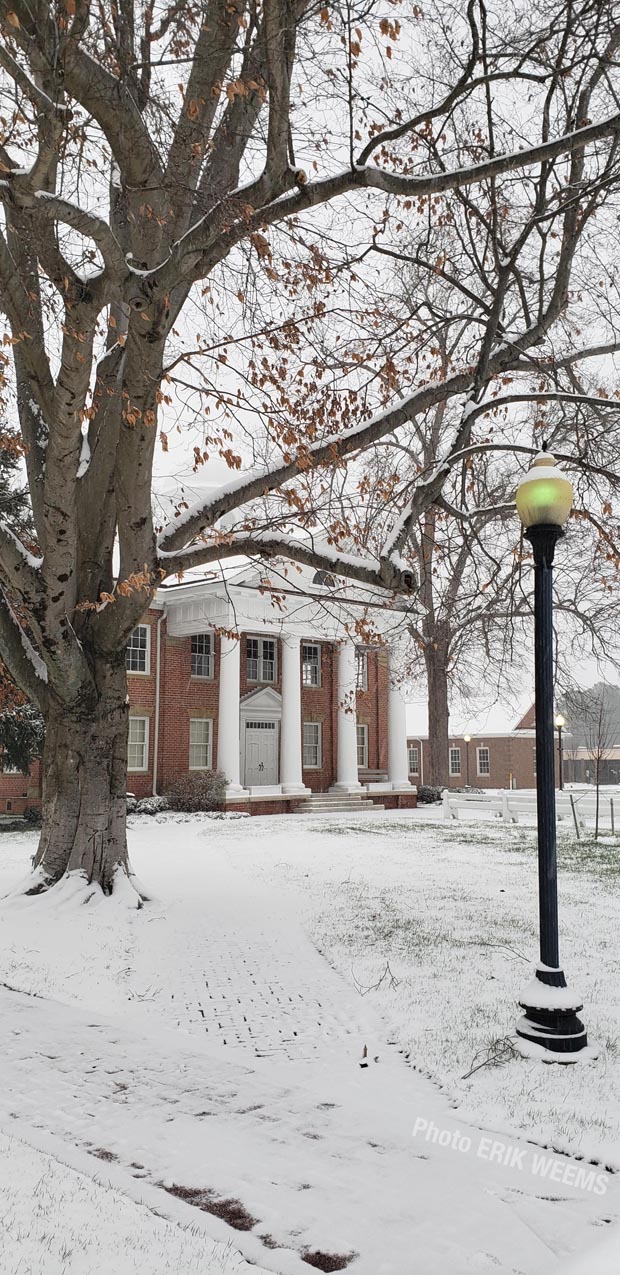Snow on the trees and the Historical Courthouse Snow on the trees and the Historical Courthouse