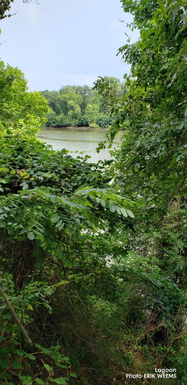 Looking out at the henricus Area - Lagoon at Dutch Gap